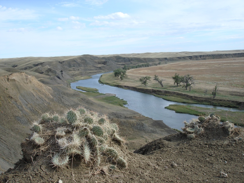 Photo Album - Belle Fourche Watershed